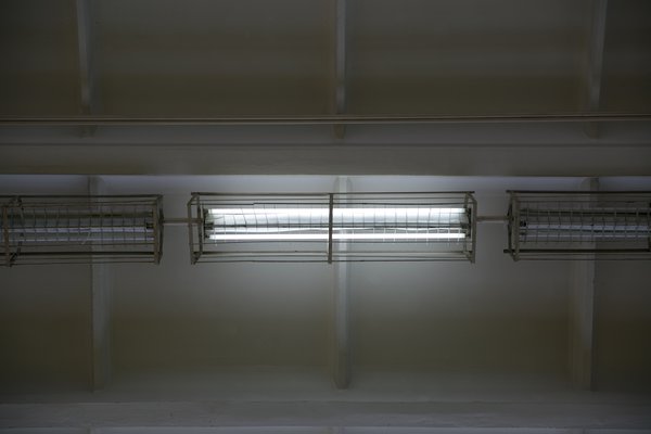 Линейная люминесцентная лампа в светильнике типа ЛПО