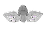 Pandora LED 605 PHYTO