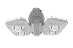 Pandora LED 635 PHYTO