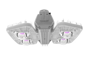 Pandora LED 635 PHYTO