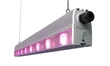 Pandora LED 615 E-150 PHYTO